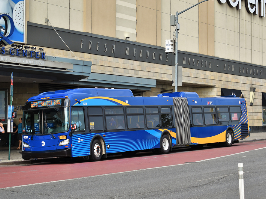 New Flyer XD60 Xcelsior Bus // Hyacinth Macaw