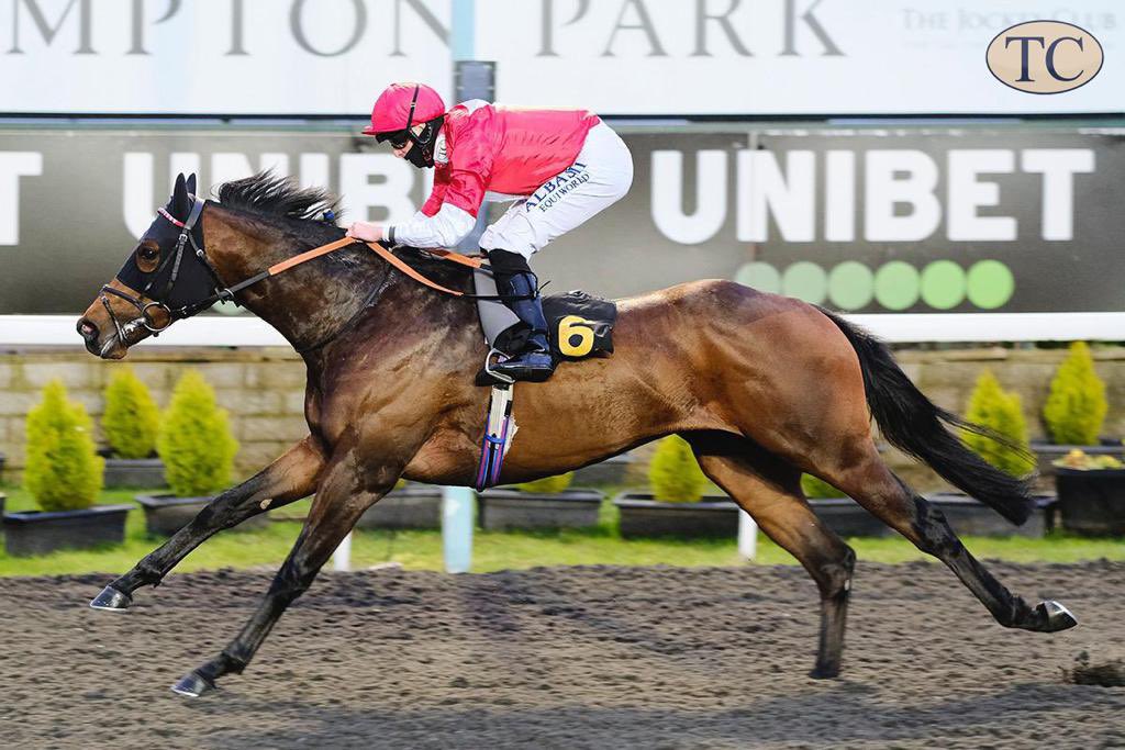 Roguesracing_'s tweet photo. #rogueforce as he crosses the line in first place @kemptonparkrace this afternoon ridden by @Mitchelljack77 #winner #rogues @tomcloverracing https://t.co/UcwnSWml51