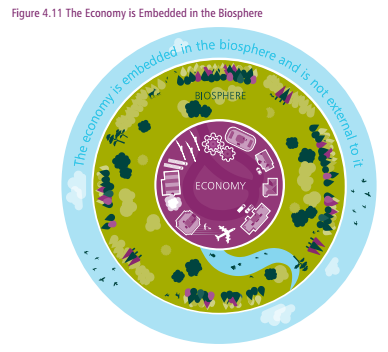 8/ The report argues that a new model of the global economy, bounded within the biosphere, is needed. Such models are used by ministries, governments, financial institutions etc. to design and structure economies - they're not just academic.