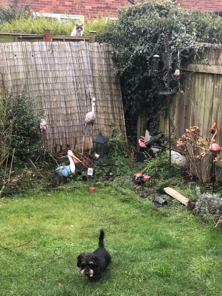 Ever get the feeling there’s a pesky cat watching 🧐