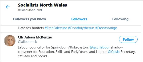 Scottish  @UKLabour Cllr and lots of other exciting things Aileen McKenzie  @aileenmck also follows this racist Jew hate account.Ask her why, perhaps?