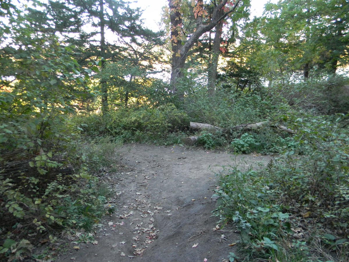 One of our favorite places to hike is #Mahoneystatepark This <a href="/NEGameandParks/">Nebraska Game and Parks</a> location is halfway between Lincoln and Omaha. We often go there with friends. #hike #MWTravelChat