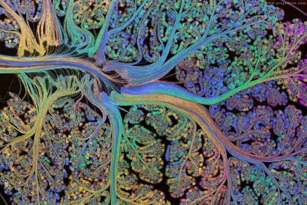 griz1's tweet photo. This could be very interesting!
#Neuroplasticity & the #AmazingBrain
@ABFbrain @AANPublic @UCLABrainSPORT @BrainandLifeMag @BrainRecoveryP @brain_trauma @neuroayogi @lindz4RandF @HMotanis
Tomorrow/Thursday 2/18/21 5pm PST/8pm EST
Register: https://t.co/VHASc7nktO https://t.co/QpmnHJehGB