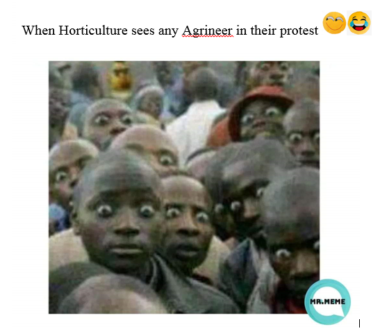 AHMER BASHIR SHAH tweet media