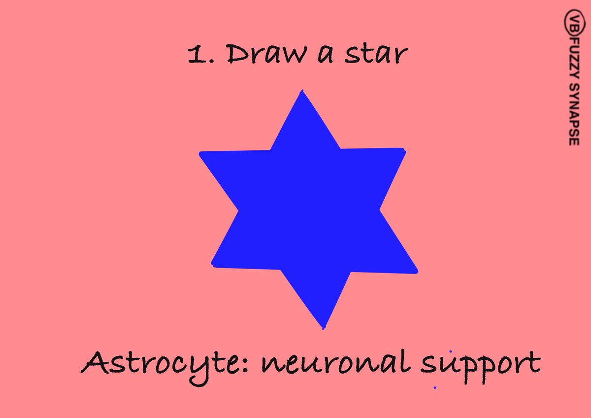 fuzzysynapse's tweet photo. Continuing @fuzzysynapse's “Draw your neuroscience” book series!

Today, I am presenting the next chapter about non-neuronal brain cells. Learn about them in fuzzy synapse’s style! 🙂 https://t.co/veCbZbRdlx

#scicomm #fuzzysynapse #drawyourscience #drawyourneuroscience #research https://t.co/Tf5ColOytd