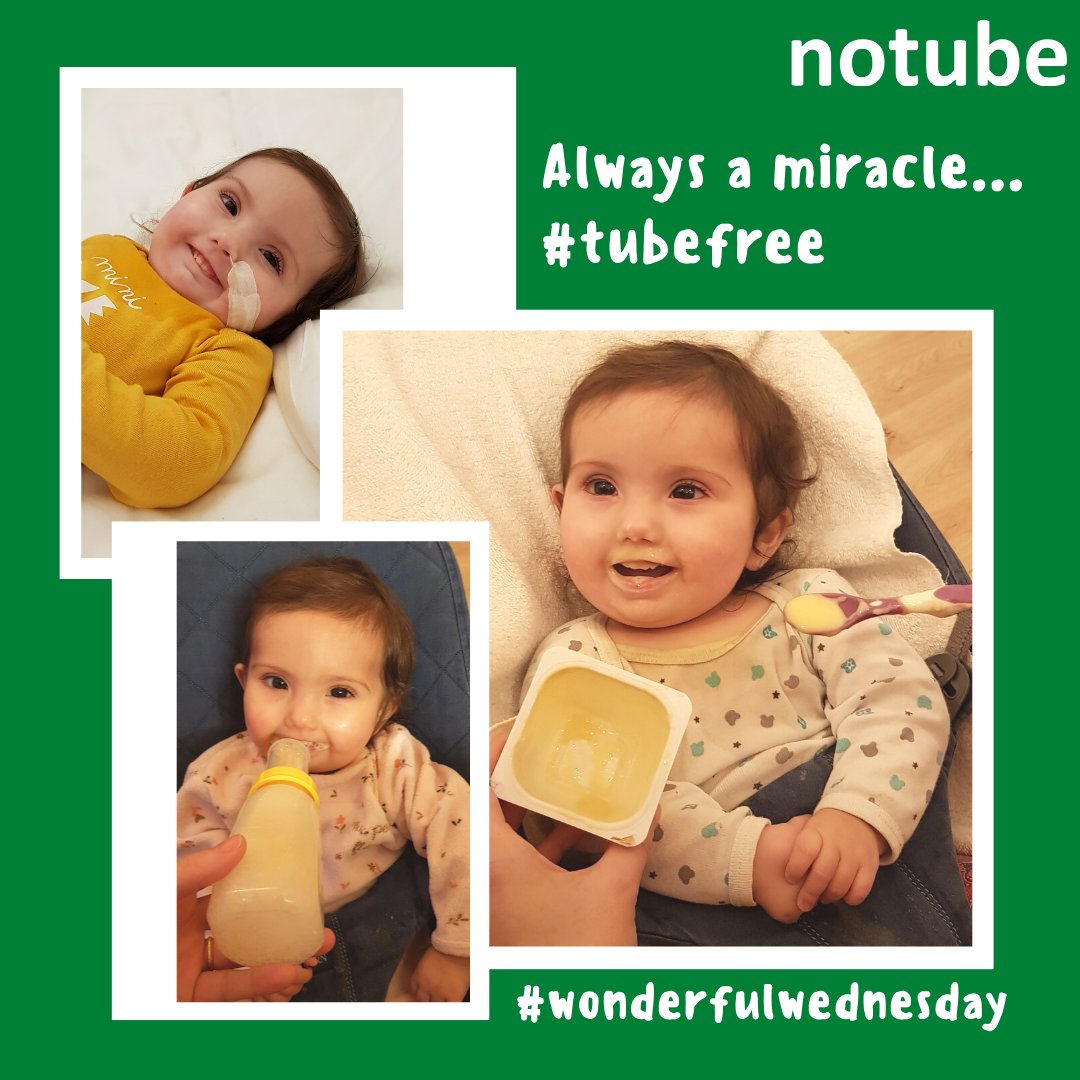 notubemed's tweet photo. 💚Always a miracle - Immer wieder ein Wunder - Toujours un miracle 💚
#tubefree #wonderfulwednesday
Do you want to know more about our method? Talk to us here: https://t.co/JvUEAeRrJK https://t.co/7R3Qi46kCF