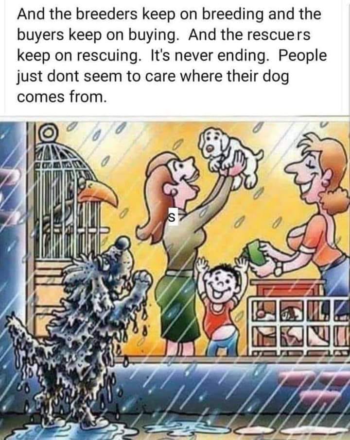 We are here lesvos (@wlesvos) on Twitter photo 