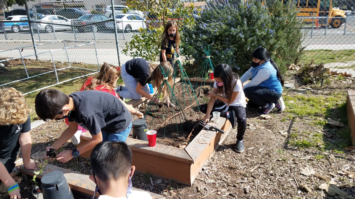 MsTCash1's tweet photo. Planting in the garden @CasitaMagnet https://t.co/dl1T5nbCzO
