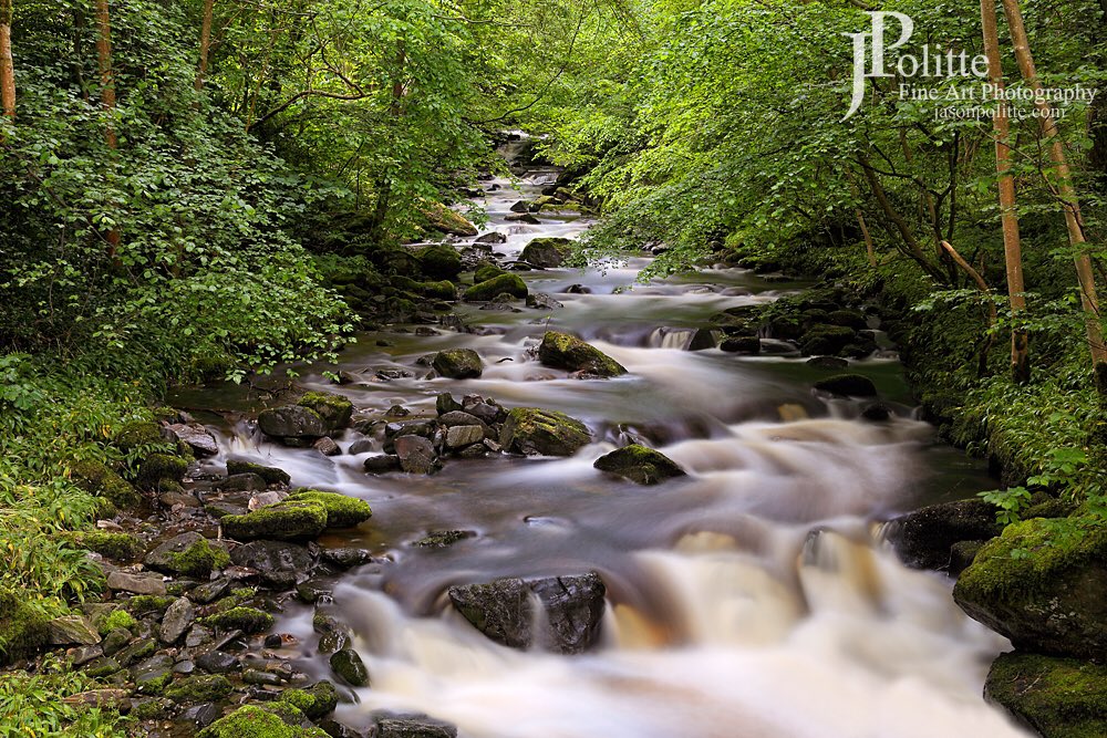 JasonPolitte's tweet photo. NEW! ‘Beautiful Lower Birks of Aberfeldy’ - Prints available at https://t.co/asNy6CkX72

#birksofaberfeldy #aberfeldy #scotland #perthshire #beautifulscotland #rabbieburns #moness #nature #naturelovers #picoftheday #art #fineart #photography #photographyislife #photographyisart https://t.co/M0wURftIza