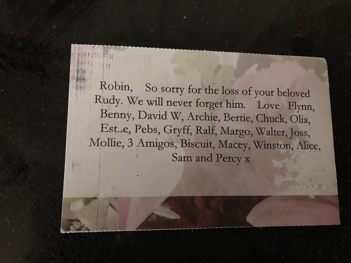 daigneault1212's tweet image. Awwww you guys thank you so much, this is really brightened up my day🥰@FlynnTheWelsh @ChukkaBennett @bertie_lakeland @ApsoMollie1 @BiscuitTisket @jillfearnhead @Alice_The_Welsh @GuruGryff and sooooo many more that I can’t fit in to tag🥰🥰 you guys are amazing pals.