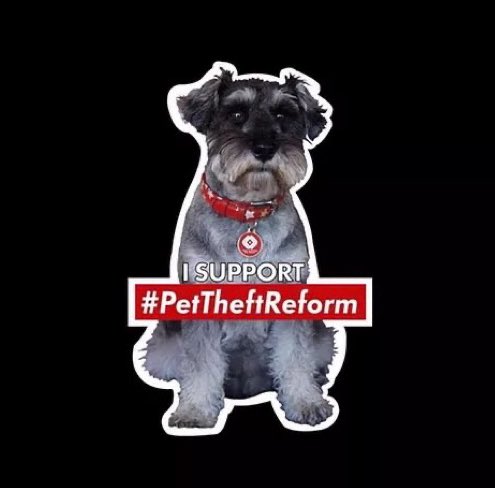 Dr Daniel Allen tweet media