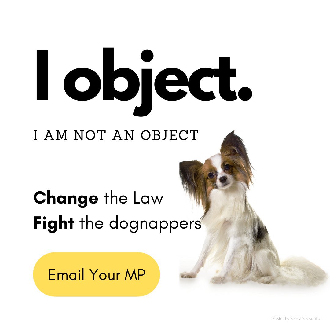 Very positive meeting with <a href="/MPIainDS/">Iain Duncan Smith MP Chingford & Woodford Green</a> and his team today about #PetTheftReform. Thank you from <a href="/SAMPAuk_/">Stolen&Missing Pets</a> for taking the time to meet, and thank you from everyone for taking dog theft seriously. PetTheftReform.com #NotAnObject 🐾 RT