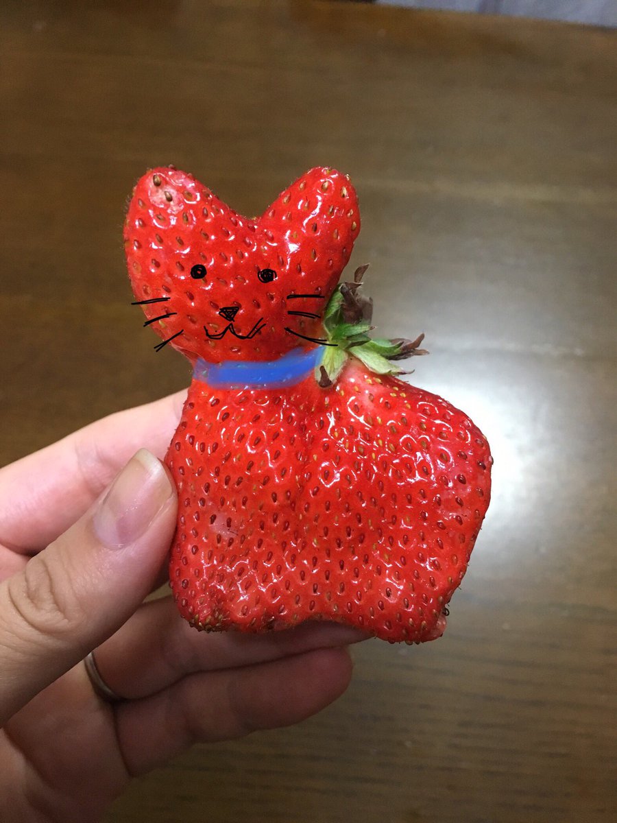gatitos_qctd's tweet image. Strawberry cat