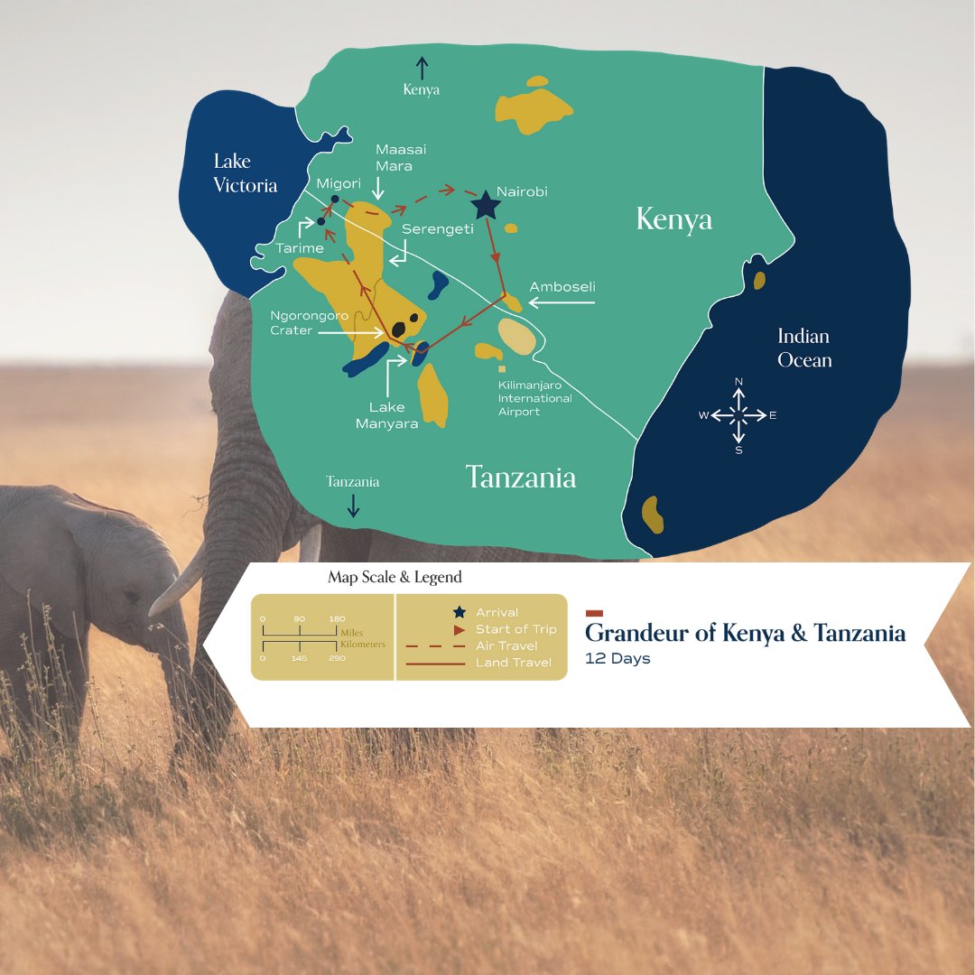 MetamoTravel's tweet photo. This journey is the one for you if you're looking to experience the greatest wildlife parks, with all of their grandeur, in both Kenya and Tanzania. 

Explore the best of both worlds here: https://t.co/Sr2XN4PfB1

#liveyourgreatstory #africa #safari #travel #experience https://t.co/oqqTouUnfl