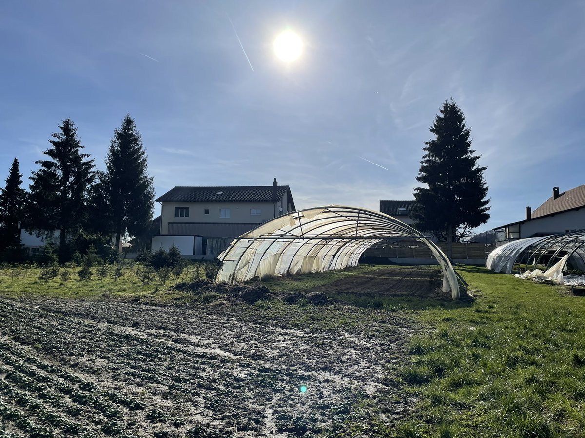 PsSchaer's tweet photo. Beurteilen des Bonitierungsentwurfs der #Melioration zusammen mit der Schätzungskommission anhand einer Begehung. #Landumlegung #Geometer #Geomatik #Wetterglück https://t.co/cM4AOREieD