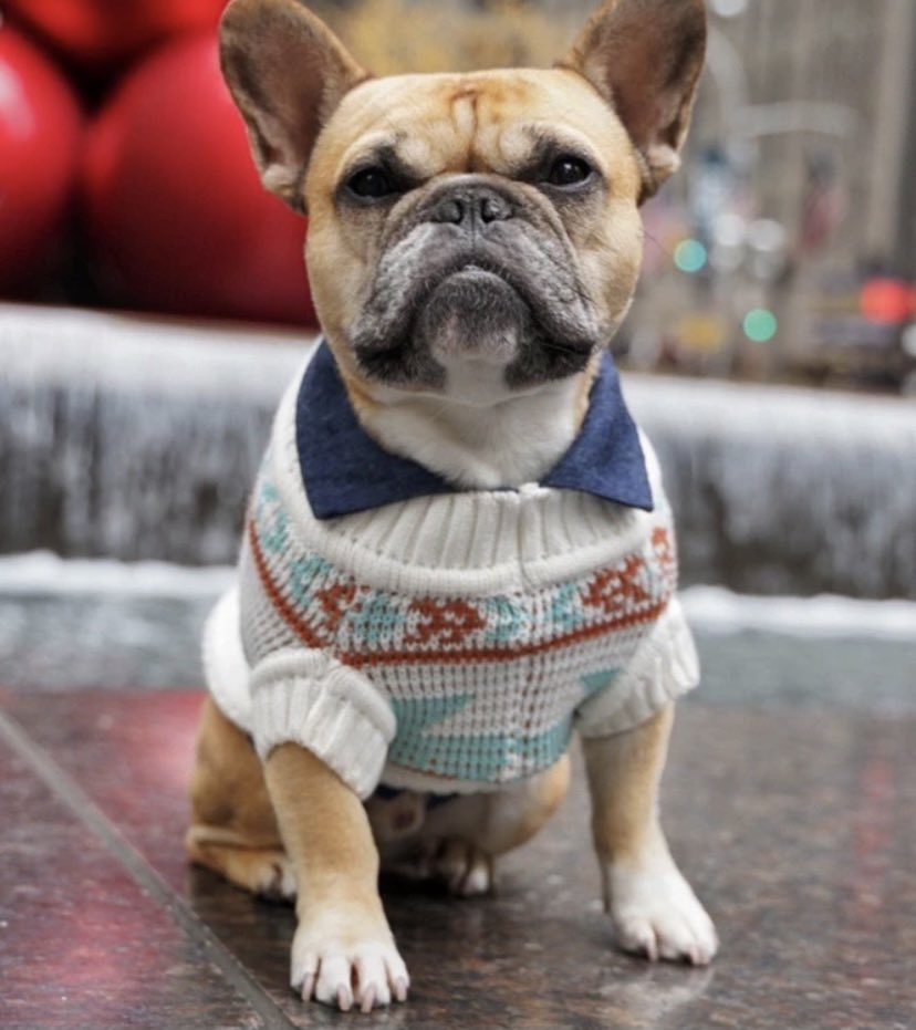 Afternoon Bulldogs 🐾 

This Friday February 19,2021 

Please wear cozy sweater as the school will turn down our school temperatures to support reducing global temperatures rise.