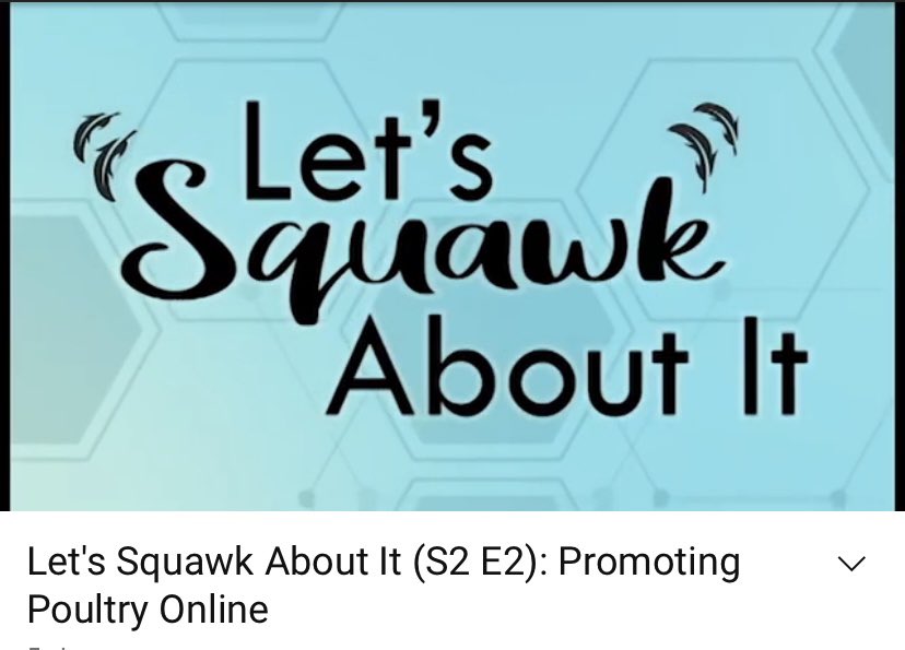 PottersUsa's tweet photo. So great to have been involved in the latest episode of The Poultry Science Association’s #letssquawkaboutit 

Have a look here https://t.co/51DAyNWDN0 and let us know what you think!

#promotingpoultry #highwelfarefarming #cagefreepartners #thankyoufarmers https://t.co/MPFrPgo8JV