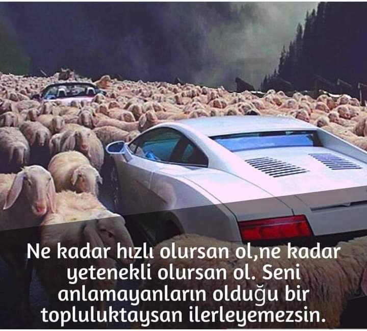 Veysel Korkmaz (@v_k43) on Twitter photo 