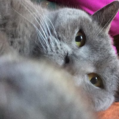 s_tytti's tweet photo. #NeuesProfilbild https://t.co/XHdRxzJkUb