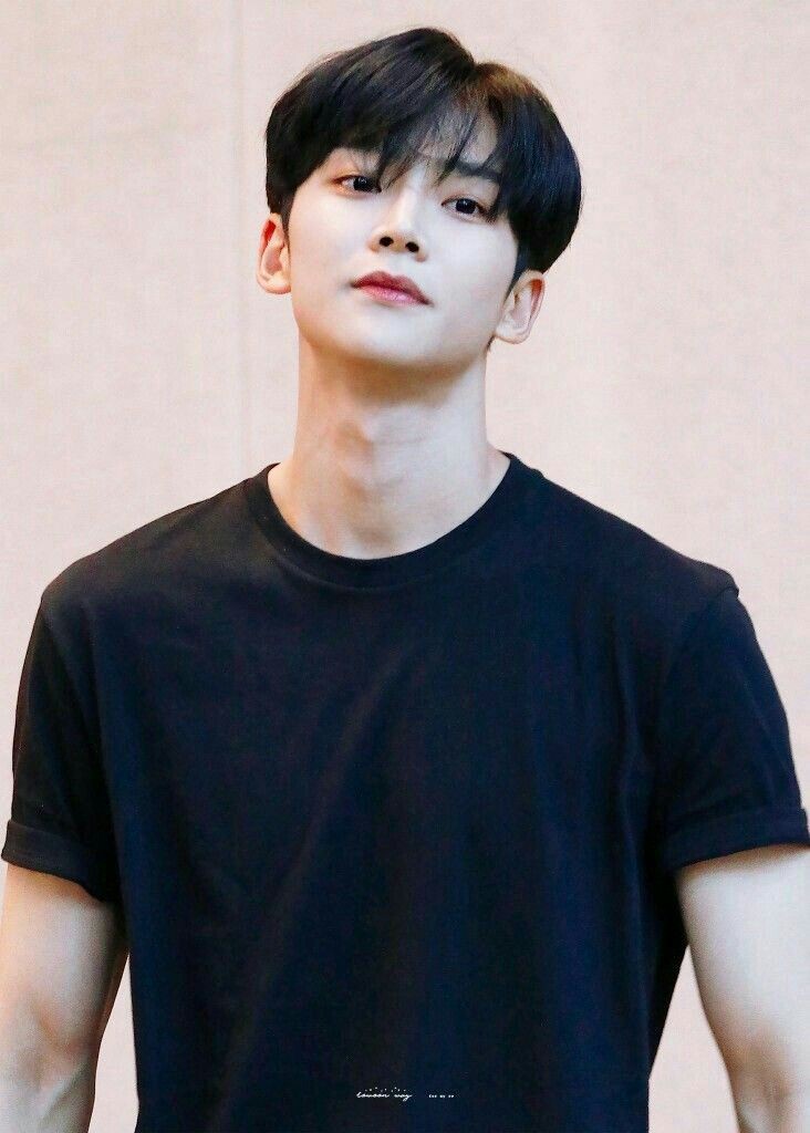 -Kim Seok Woo (Rowoon) middle lineTall and handsome as hell and heaven. Lead vocalist! Actor! Visual! Model!it's nothing this man can't do. Well he can't shut up. His fans are the most emotionally powerful bcs we barely get any content from him. But he's active in IG lately so
