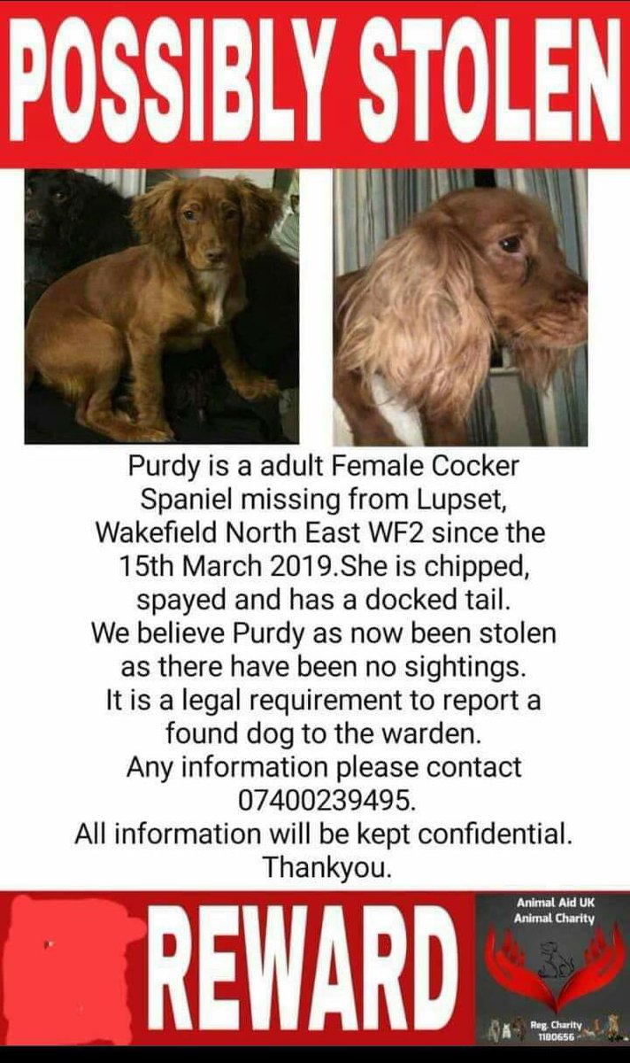 Rosie Doc tweet media