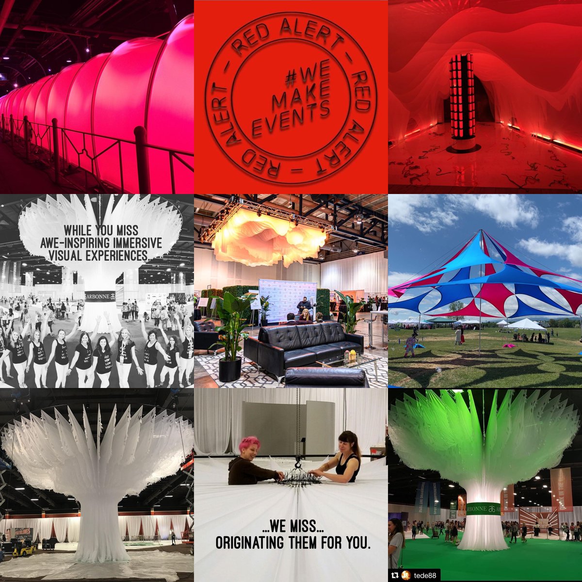 Debra Roth tweet media