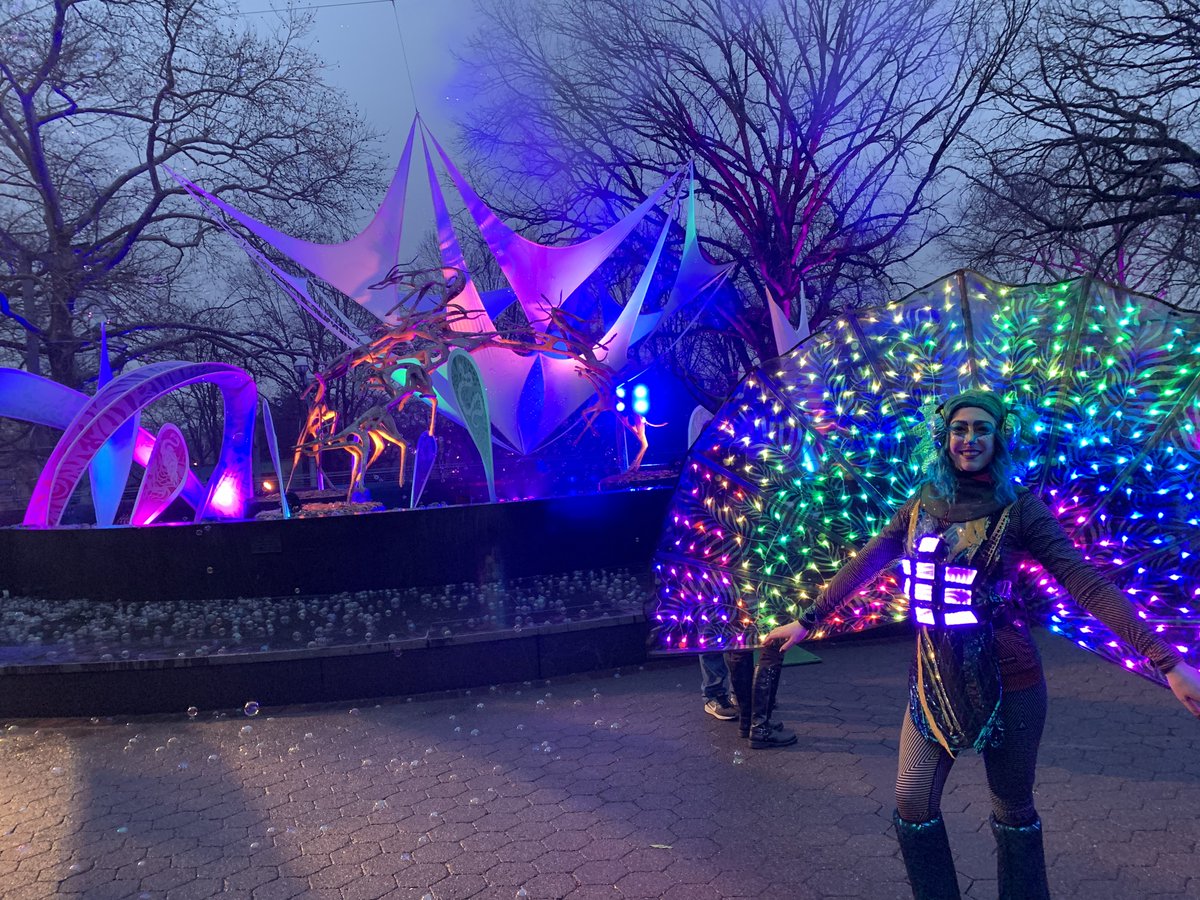 Debra Roth tweet media