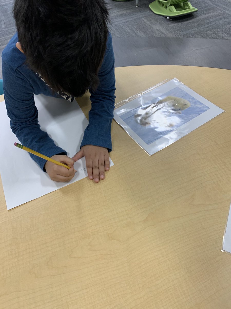 DancerKinders's tweet photo. Polar bear research begins! 🥶 https://t.co/4NGH4VdtGy