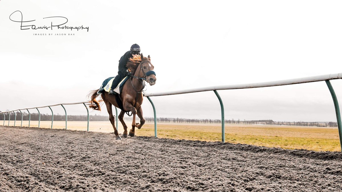 ArcyArron's tweet photo. @EquuisImages thankyou for the brilliant pics https://t.co/LlK390iIm3