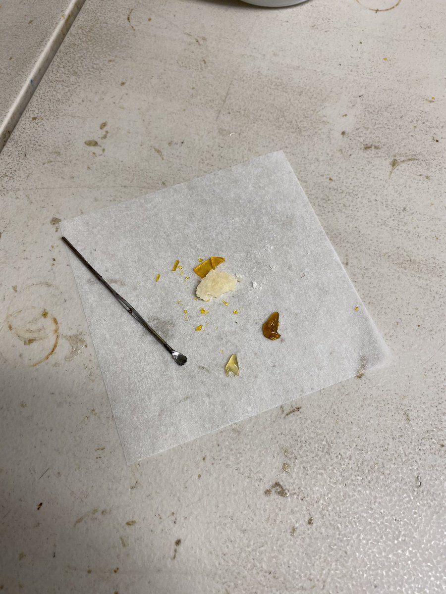 0hlucy's tweet photo. We have a real cool shark coochie board of dabs at work rn https://t.co/CCgzauTmbw