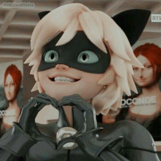 Chat noir tweet media
