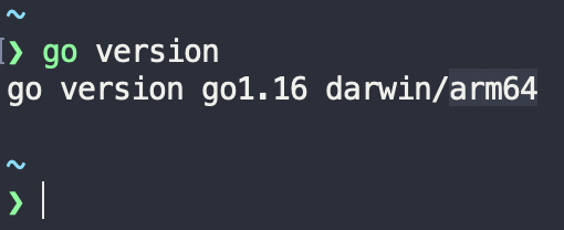 bhaveshscp's tweet photo. Thanks #golang team for #go116. Finally, no Rosetta translations for go programs. https://t.co/j1n1zaarbC