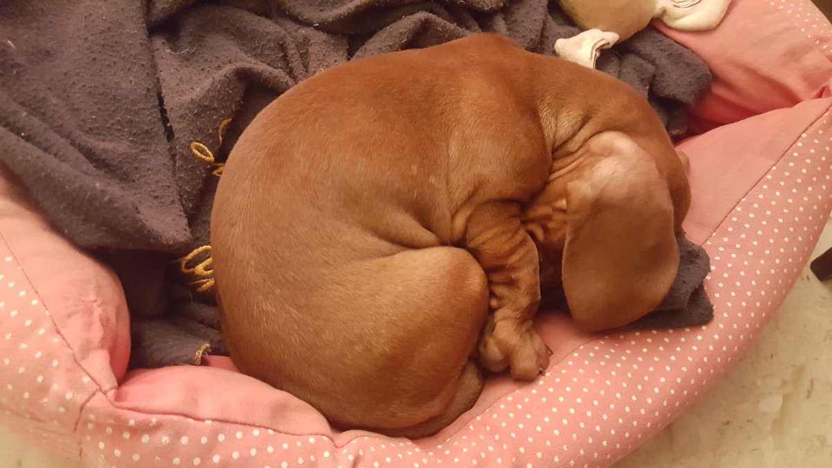 Cinzia Leone (@_cinzialeone) on Twitter photo 