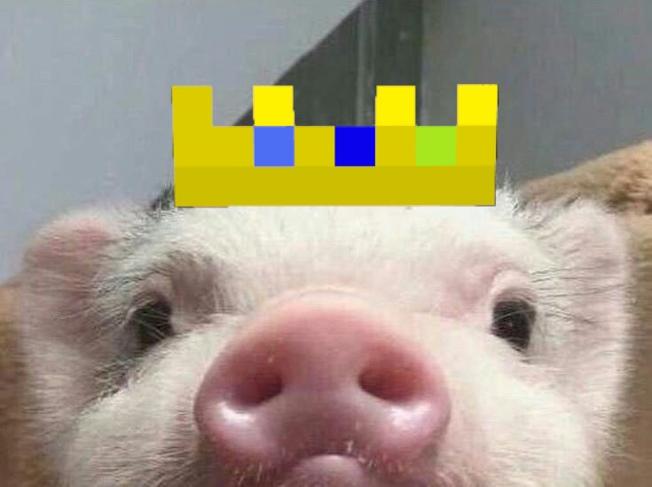 A comfort thread for those pissed and upset feel free to share it /safe