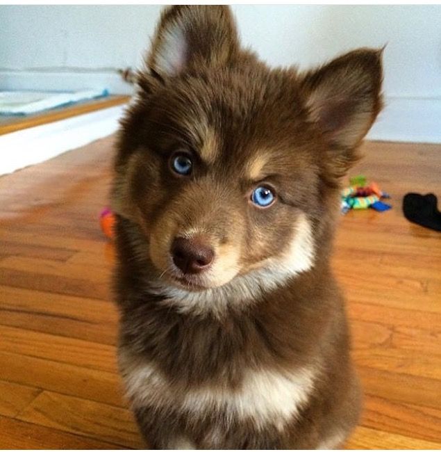 A comfort thread for those pissed and upset feel free to share it /safe