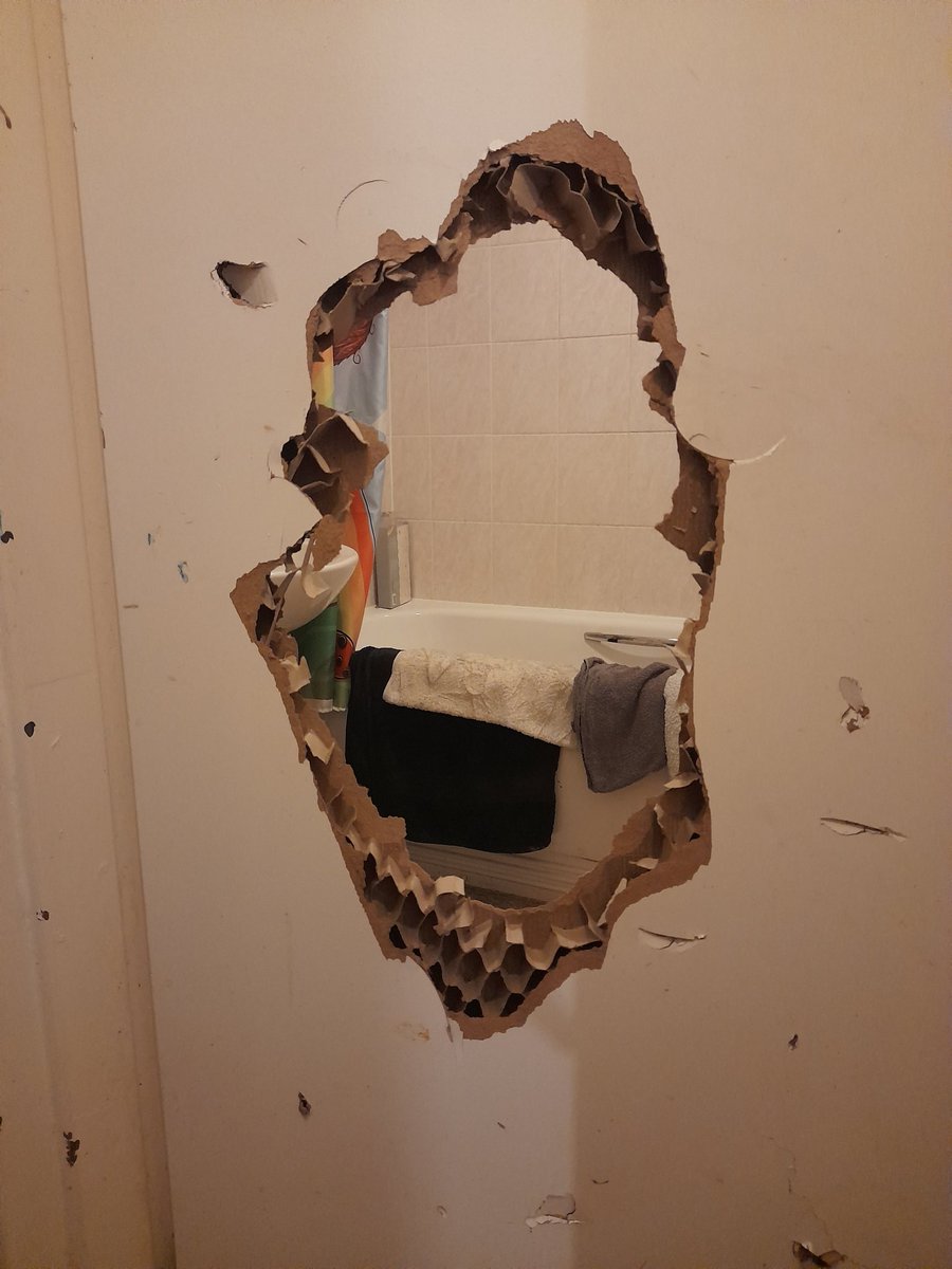 Nicolette Lacey tweet media