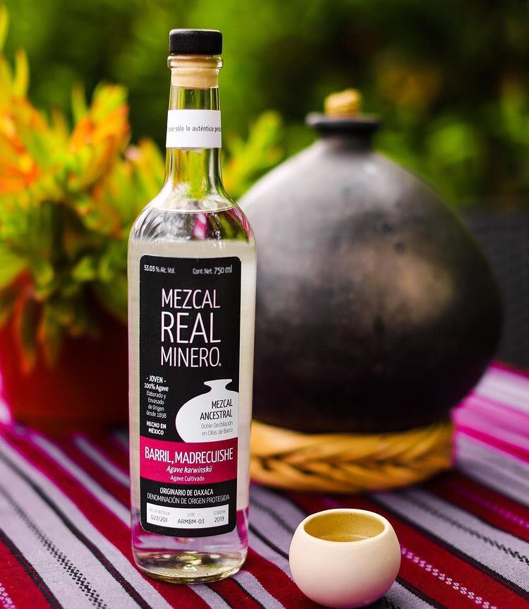 REAL MINERO (@realminero) on Twitter photo 📷: <a href="/jorsand/">Jordan Rice</a>
The sweetness of the madrecuishe combined with the spicy notes of the barril make this mezcla, hand crushed with mallets, a sweet path to complete happiness.
#Mezcladeagaves #lovemezcal #Gold #Oaxaca #mexicodesconocido #Porquesololoautenticoperdura 📷: <a href="/jorsand/">Jordan Rice</a>
The sweetness of the madrecuishe combined with the spicy notes of the barril make this mezcla, hand crushed with mallets, a sweet path to complete happiness.
#Mezcladeagaves #lovemezcal #Gold #Oaxaca #mexicodesconocido #Porquesololoautenticoperdura