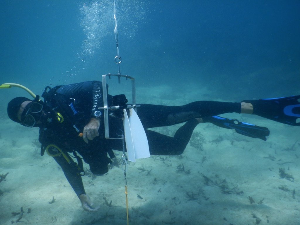 PaigeStrudwick's tweet image. John @reefsnorkel getting horizontal to check out my loggers. Interested to see what data we can gather from this set up for some #environmentalmapping across reef sites.

#trialanderror #DIY #bunningsVIPmember #lateralthinking

@DavidJSuggett @emmafcamp @UTS_Science @uts_c3