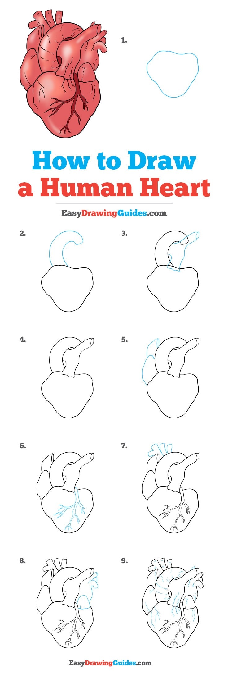 Heart drawing for kids