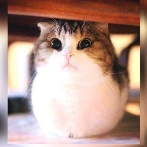 A comfort thread for those pissed and upset feel free to share it /safe