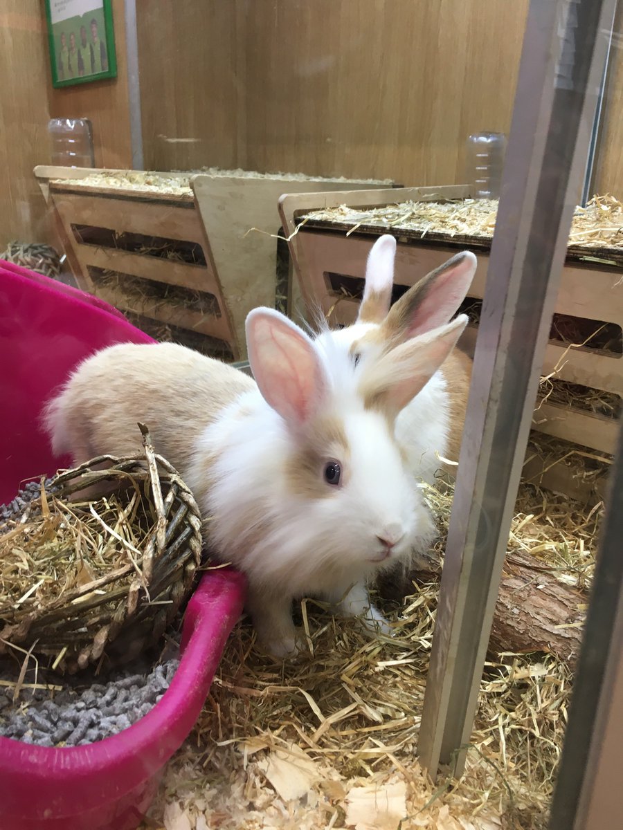 A comfort thread for those pissed and upset feel free to share it /safe