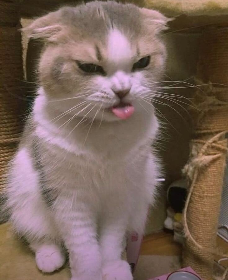 A comfort thread for those pissed and upset feel free to share it /safe