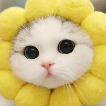 A comfort thread for those pissed and upset feel free to share it /safe