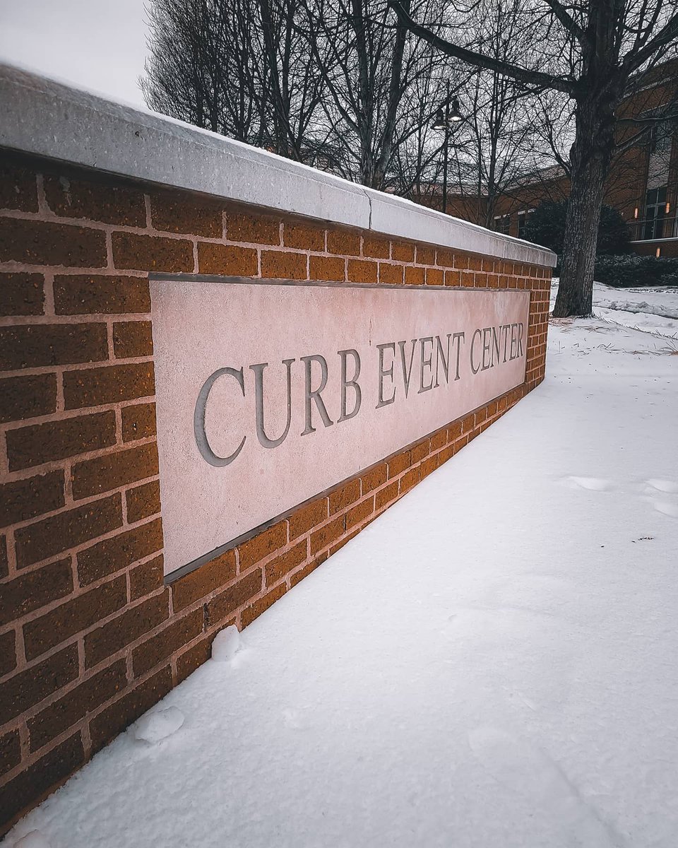 BDNetwork1's tweet photo. Nashville is a winter wonderland #belmontu #winterstorm2021 #Nashville https://t.co/qDSdCuNniJ