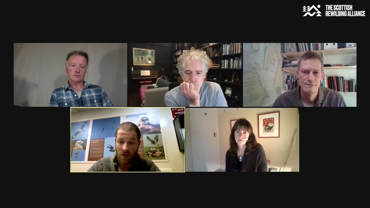 TheOpenSeas's tweet photo. Fantastic opportunity to take part in @ScotRewilding event tonight with @gordonjbuchanan, @argatyredkites, @RewildingB - talking about fixing the biodiversity and climate crises by giving nature a chance to recover https://t.co/pYCQHSeOx6