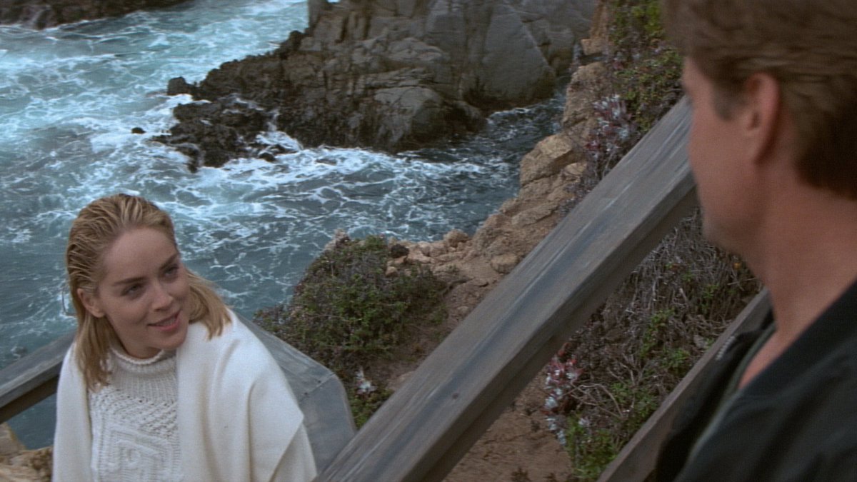 Stone’s character, Catherine Tramell, is a crime novelist who lives on a cliff overlooking the sea. Nothing has ever been more lesbian than living near the ocean and spending your time plotting, writing about plotting, and carrying out your plots.