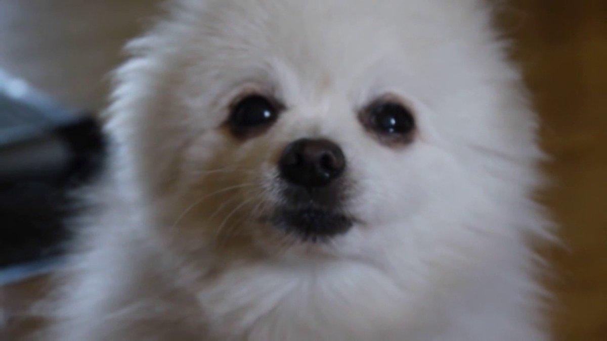 ShapedInternet's tweet image. 