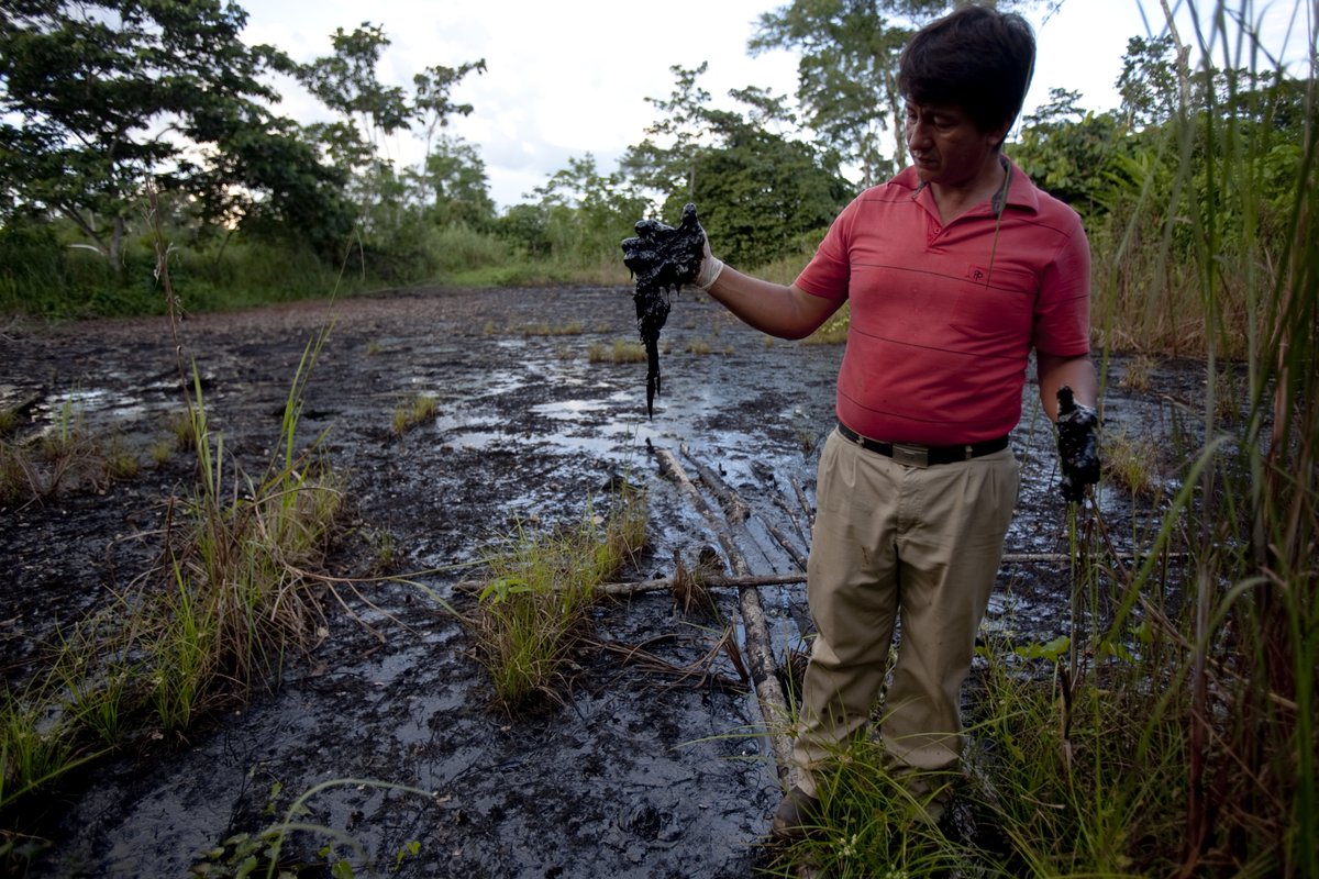 We urge new  @WhiteHouse climate & environmental appointees to prioritize  #EnvironmentalJustice for the thousands of Ecuadorians poisoned by  @Chevron’s deliberate pollution of the  #AmazonRainforest  @ClimateEnvoy  @Brenda_Mallory  @Gina_McCarthy