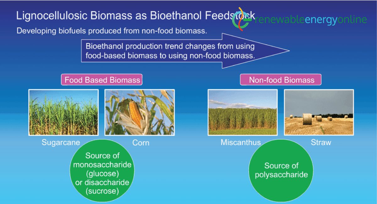 OnlineRenewable's tweet photo. Lignocellulosic Biomass As Bioethanol Feedstock.

Visit us today at: https://t.co/pBtWmXqPIE

#bioethanol #biomass #renewableenergy #renewableenergysystems #renewableenergyisthefuture #renewableenergyisthefuture #renewableenergyisthefuture #renewableenergysources https://t.co/JoWFdTVGHG