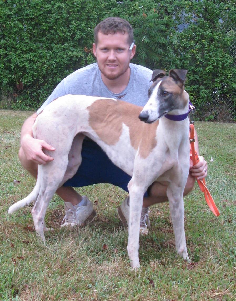 NGA Greyhound Assoc tweet media